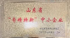 2022年被评审为山东省“专精特新”中小企业